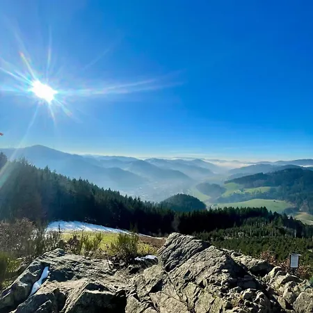 Lägenhet Zentraler Schwarzwald-traum Wolfach