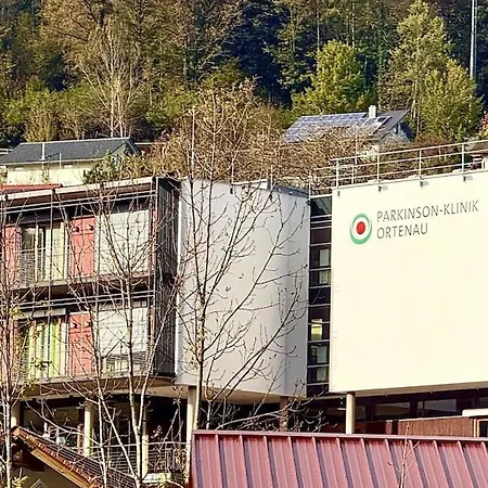 Zentraler Schwarzwald-traum Wolfach