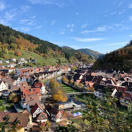Lägenhet Zentraler Schwarzwald-traum *